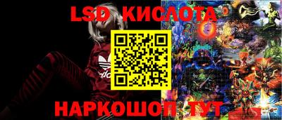 винт Будённовск