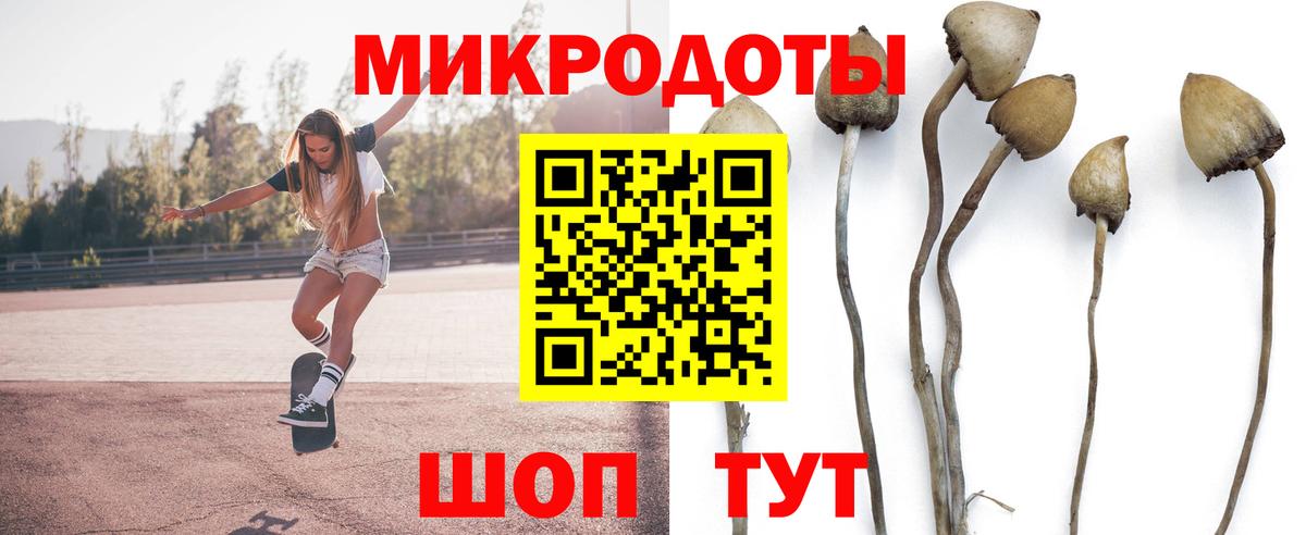 Галлюциногенные грибы прущие грибы  Вход с VPN  Ульяновск 